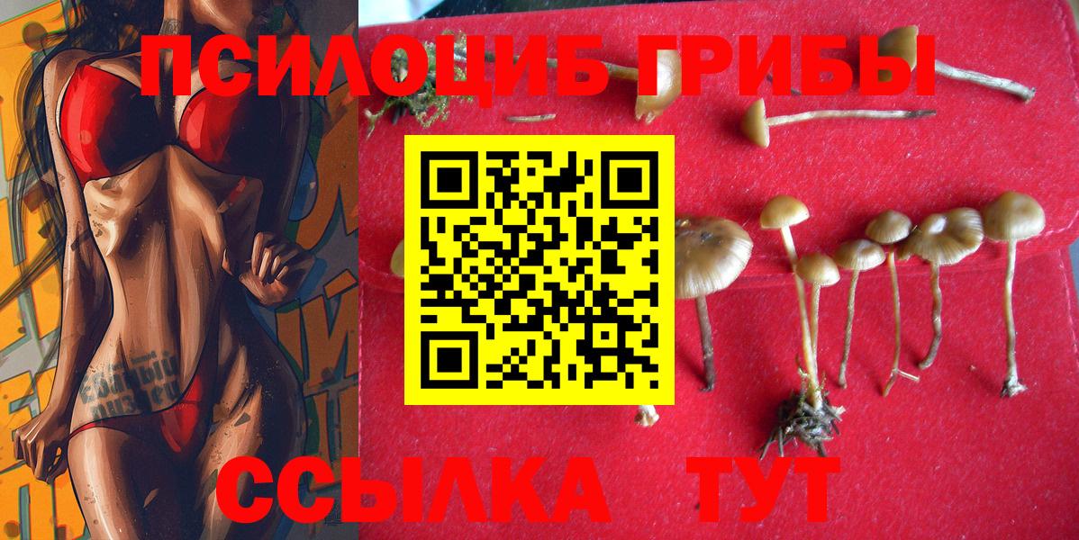 Псилоцибиновые грибы Psilocybine cubensis  Вход с VPN  Дубна 