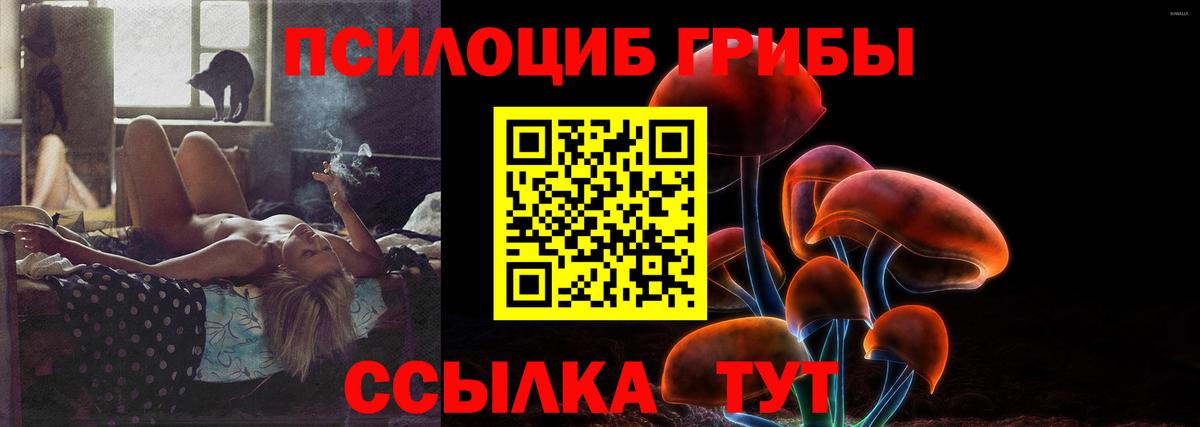 Галлюциногенные грибы Cubensis Дубна